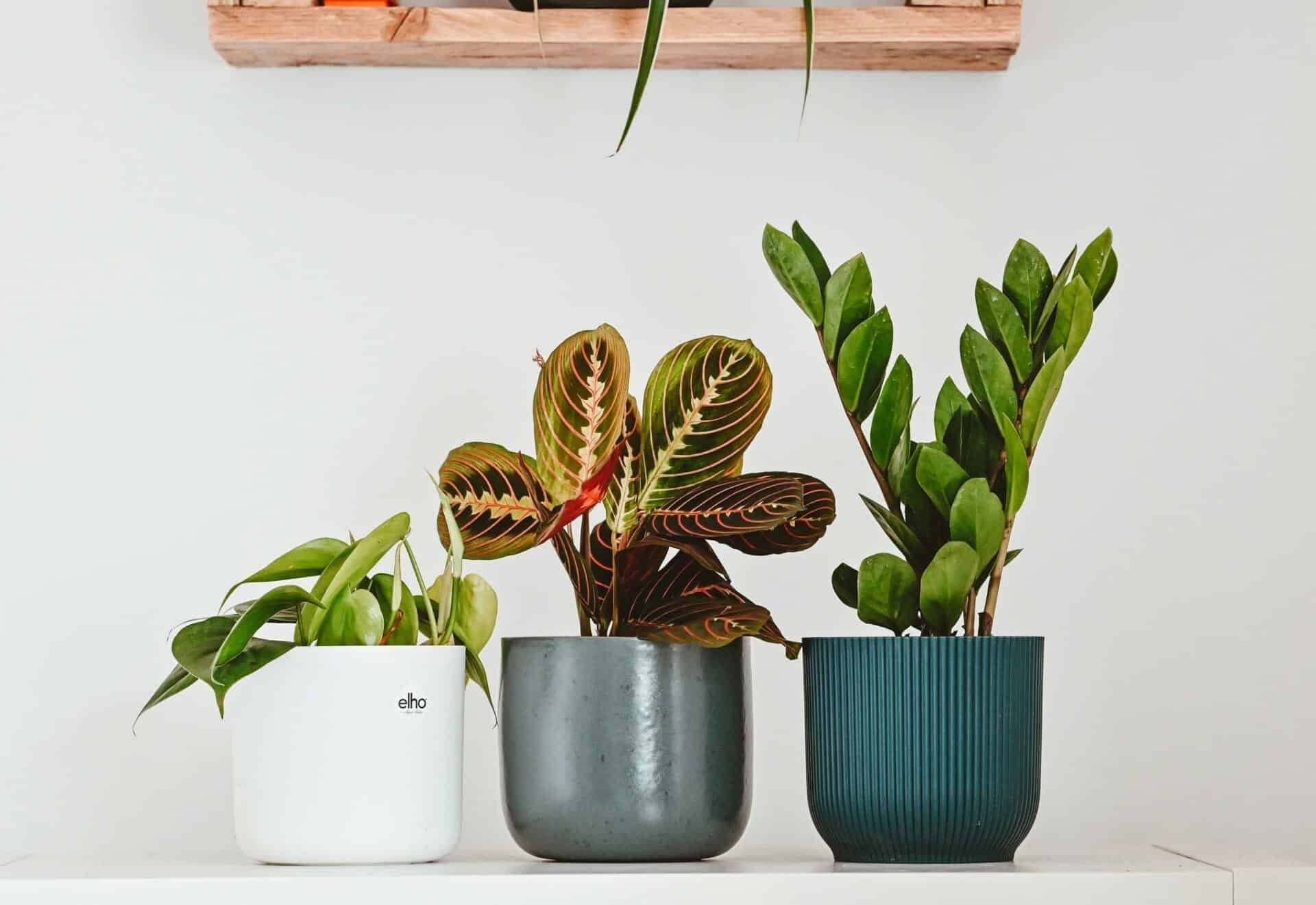 rumahhq kontraktor bina ubahsuai rumah unsplash7 10