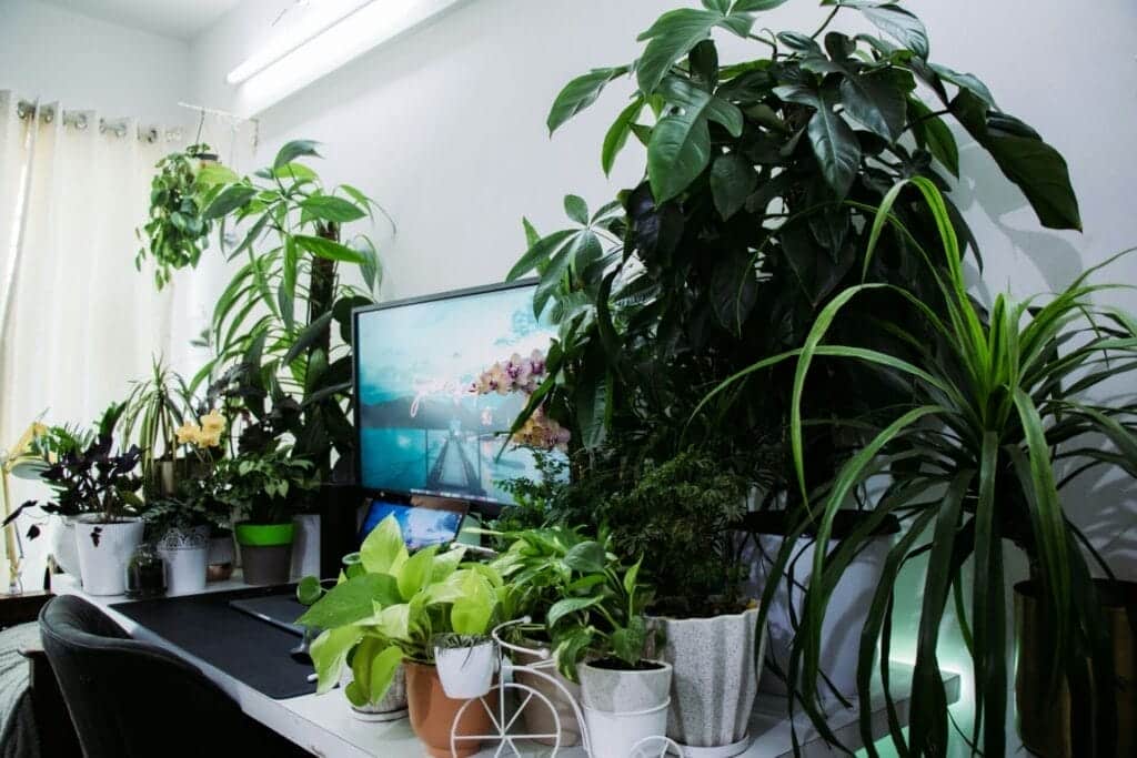 8 Rahsia Reka Bentuk Dapur Fungsional untuk Keluarga Besar yang Buat Ruang Jadi Lebih Lapang, Selamat dan Efisien 30 rumahhq kontraktor bina ubahsuai rumah unsplash7 68