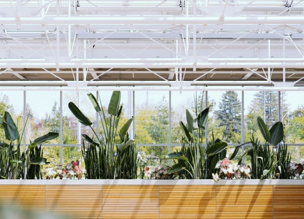 8 Risiko Alam Sekitar dalam Pembangunan Rumah yang Ramai Terlepas Pandang — Elak Kos Besar, Elak Bencana, Elak Penyesalan 28 rumahhq kontraktor bina ubahsuai rumah unsplash7 71